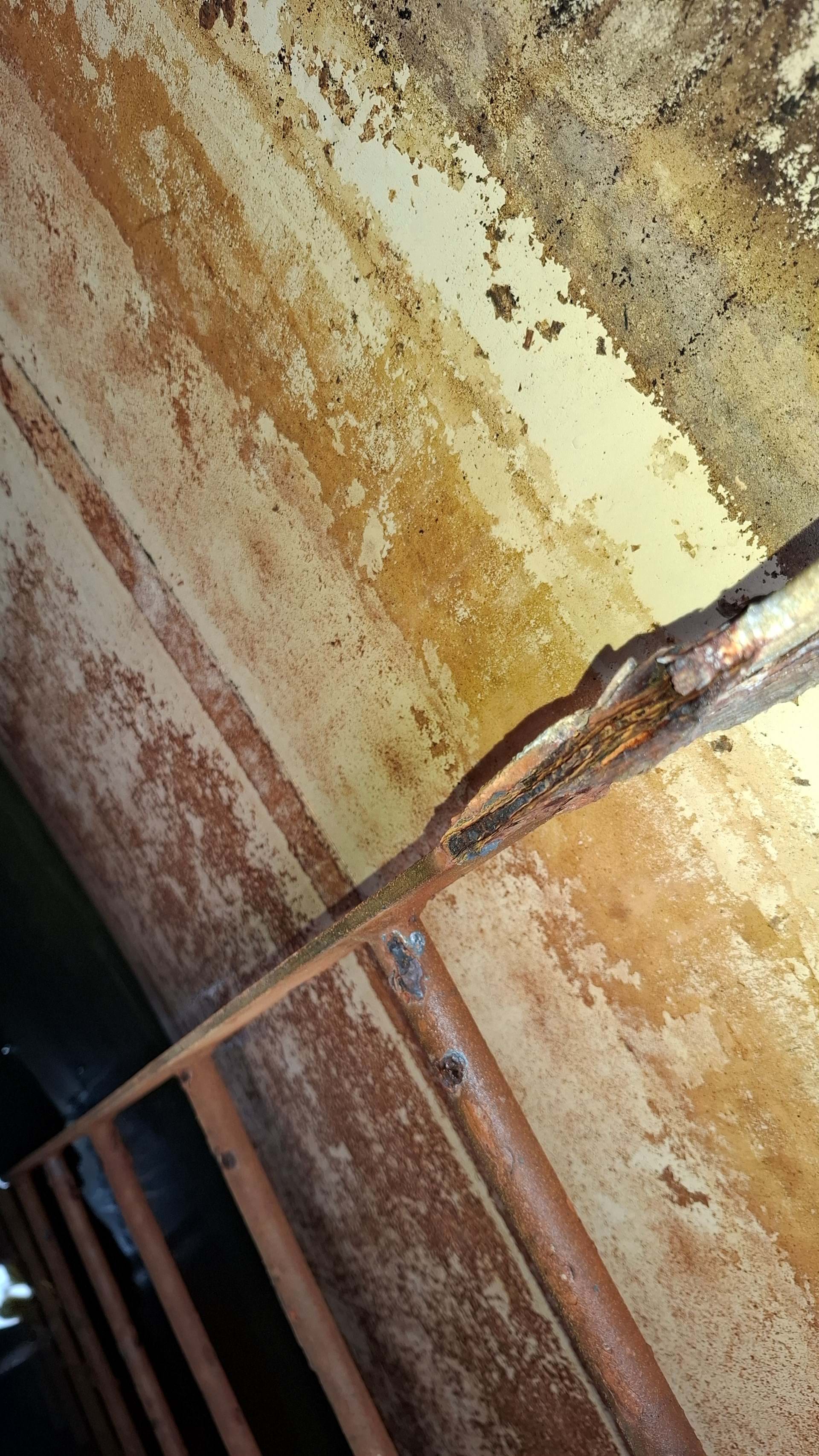 Rot In Ladder Digging Deeper: What Was Hiding Beneath the Liner