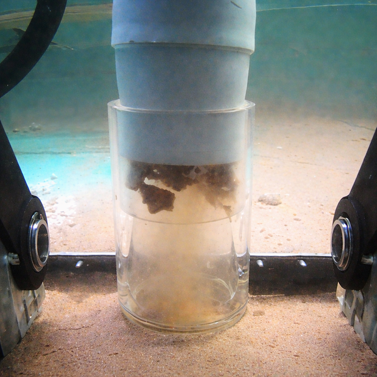 ROV Tank Cleaning